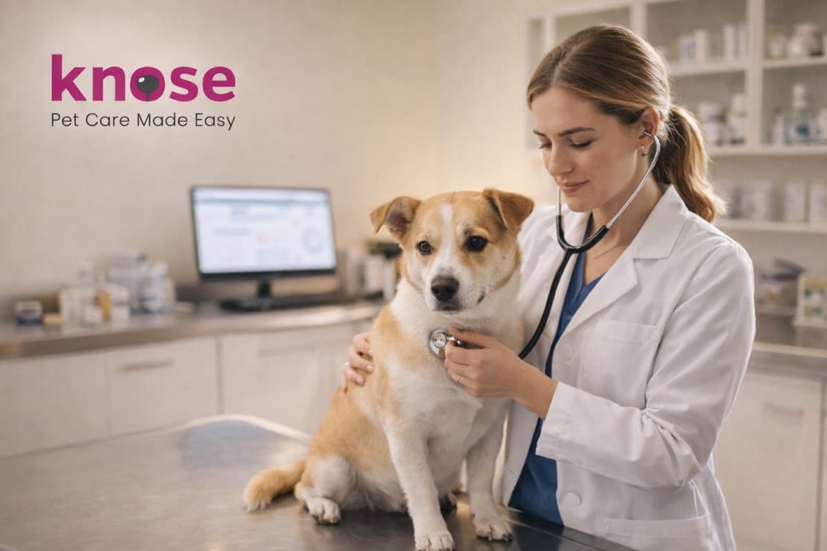 Claims assessment dashboard for pet insurance