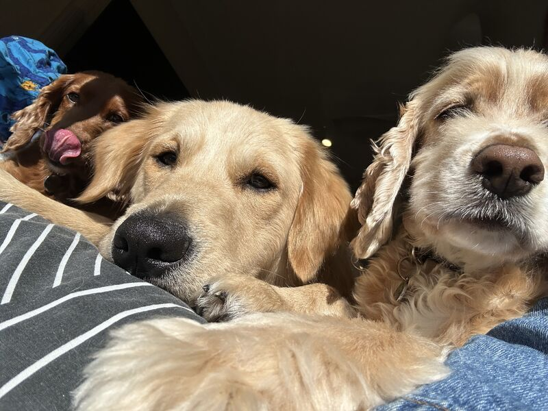 Your Business Deserves the Good Life: Let AI Handle the Routine